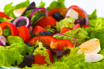 salad from fresh vegetables in a plate on a table, selective focus