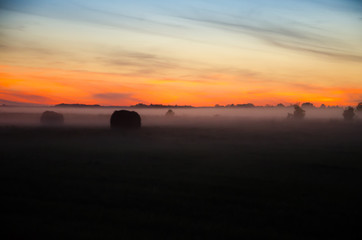 Zachód słońca na bagnach