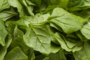 Prepared spinach for cooking