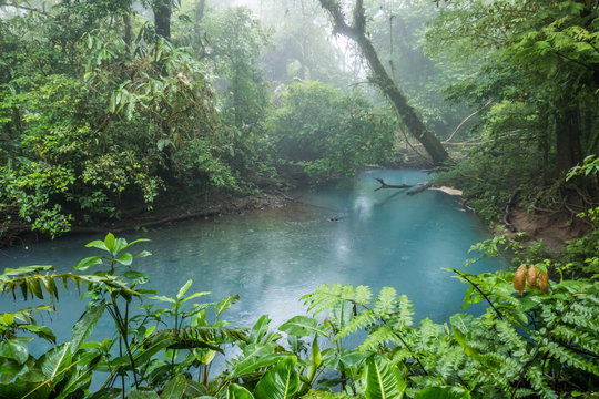 Rio Celeste blue acid water, Costa Rica