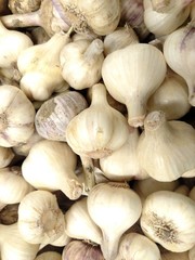 Fresh garlic background . View from above .