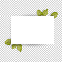 Horizontal blank white sheet paper and green fresh spring leaves