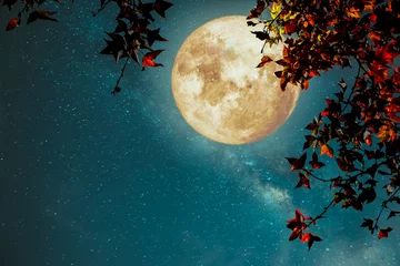 Papier Peint photo Lavable Pleine lune Belle fantaisie d& 39 automne - érable en automne et pleine lune avec une étoile de voie lactée sur fond de ciel nocturne. Oeuvre de style rétro avec tonalité de couleur vintage