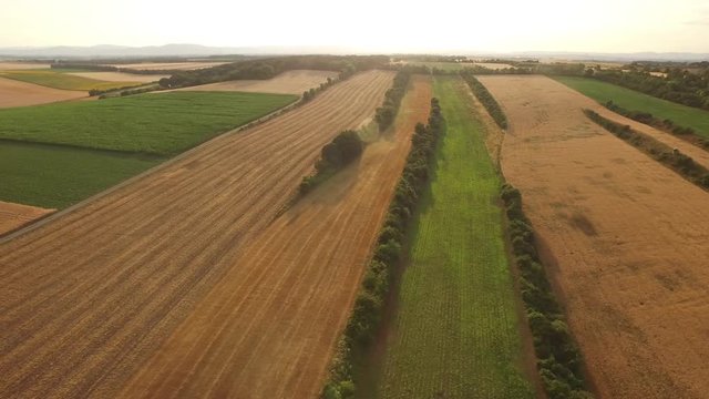 4k aerial view video of agricultural fields on sunny summer day
