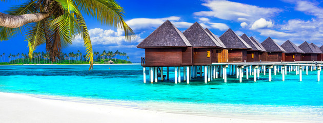 luxury Maldives vacation - panorama with water bungalows - obrazy, fototapety, plakaty