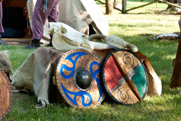 Celtic Armory Camp with Bone Skulls and Wooden Shields on Fur Mantle Gray Red Green Blue Clan with Tents on Background
