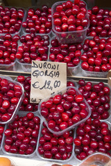 Red Cherry Background