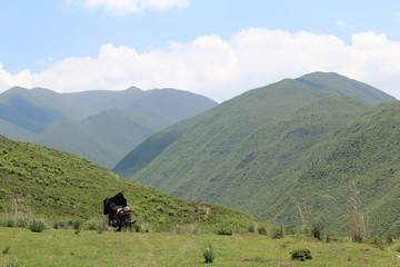 Summer Landscape in Amdo Tibet Qinghai China Asia