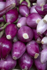 Purple Onion Background