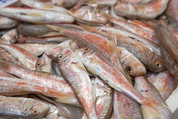 Fish Background on Market