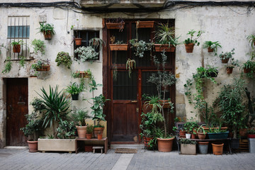 Front overall view of old house with a lot of plants in pots on facade and rustic brown wooden door.