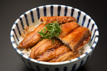 秋刀魚の蒲焼丼