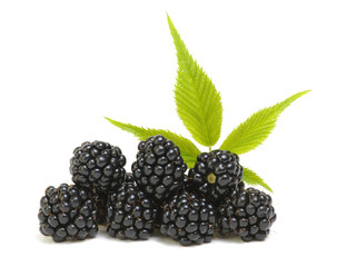 Blackberries with leaves