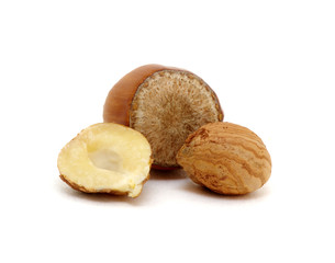Hazelnut isolated on white