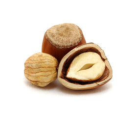 Closeup of hazelnuts