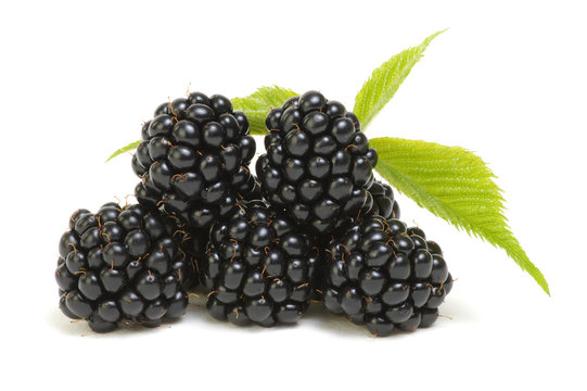 Blackberries with leaves