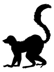 tropical animal lemur