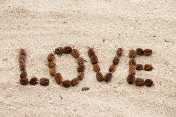 The word love is produced from the pine on the beach.