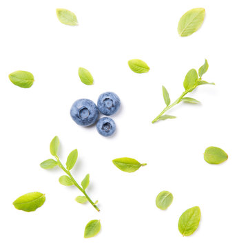 Fresh blueberries and leaves, berry ornament pattern on white background, closeup, top view
