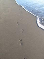 empreintes sur place