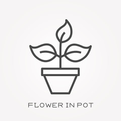 Line icon flower in pot