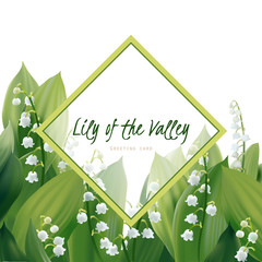 Spring floral greeting card.
 Lily of the valley flowers and leaves - realistic hand drawn vector illustration.