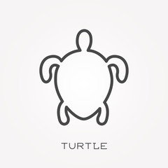 Line icon turtle