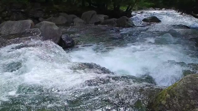 Torrente alpino - rapide