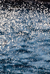 Abstract background of drops of water on the fly