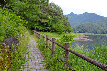 Walking path in peaceful nature scene with green mountains, trees and lake in Kawaguchiko near Mount Fuji, Japan