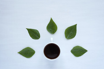 Black coffee and green leaves on white background