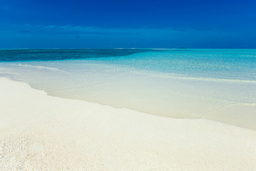 tropical beach in Maldives with few palm trees and blue lagoon