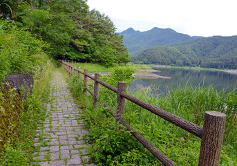 Fototapeta na wymiar Walking path in peaceful nature scene with green mountains, trees and lake in Kawaguchiko near Mount Fuji, Japan
