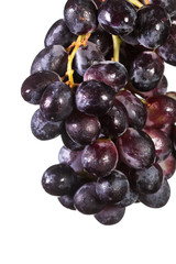 dark grapes over white