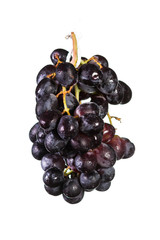 dark grapes over white