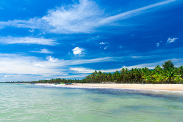 Fototapeta premium beach and tropical sea