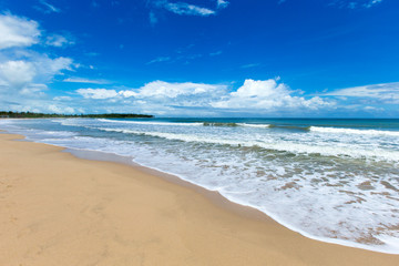 beach and tropical sea