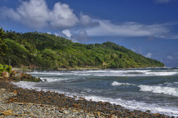 Fototapeta na wymiar The Pagua bay on Dominica island, Lesser Antilles