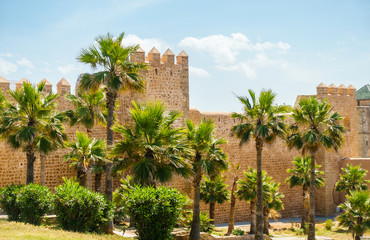 Fototapeta na wymiar Wall of the Kasbah of Udayas, Rabat, Morocco
