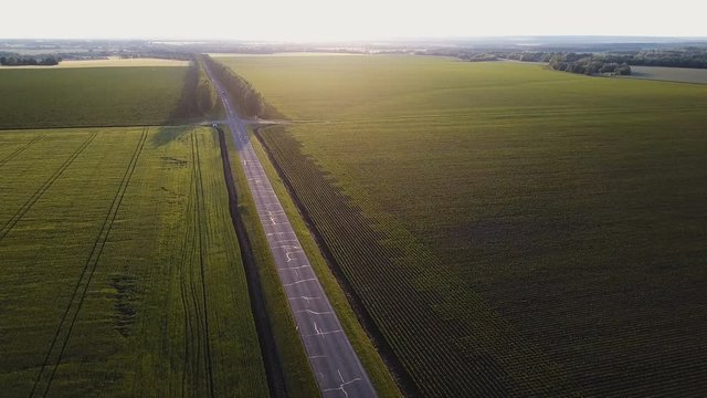 Aerial shot. Fly over empty country road in the summer evening between yellow and green fields