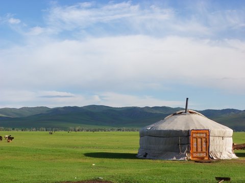 Steppe et yourte de mongolie 