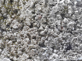 Stone texture background