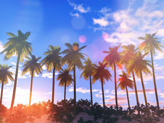 Obrazy na Szkle  Krajobraz palmy 3D