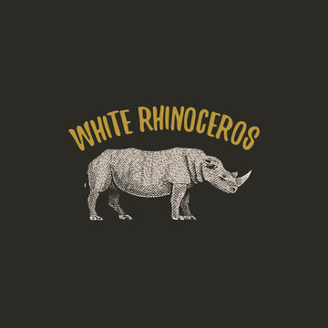 white rhinoceros engraved hand drawn in old sketch style, vintage animals. logo or emblems, retro label and badge.