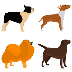 Naklejka premium Set of dogs breeds color flat icon for web and mobile design