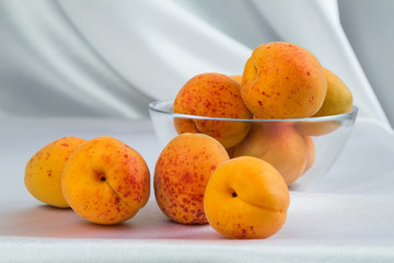 Bright yellow and orange auricos on a white tablecloth in a glass vase