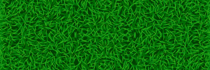 lawn grass wide background