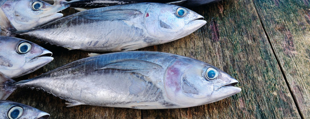Fish on a wooden background