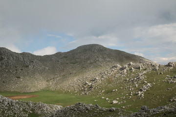 Cavalli liberi sul Monte Cervati, primavera