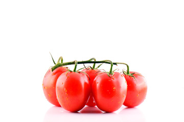 Branch of fresh red tomatoes on isolated white backround